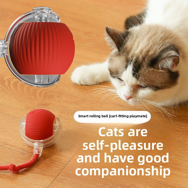 Smart Interactive Pet Toy Ball – Durable Self-Rolling Ball for Dogs & Cats, Chew-Resistant Automatic Teasing Ball